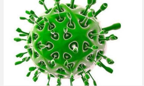 கரோனா வைரஸால் தமிழகத்தில் பாதிப்பில்லை- அமைச்சர் சி.விஜயபாஸ்கர் தகவல்