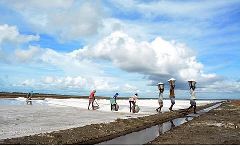 மத்திய பட்ஜெட் எதிர்பார்ப்பு: வங்கிக்கடன், இன்சூரன்ஸ் சலுகை வேண்டும்; உப்பு உற்பத்தியாளர்கள் கோரிக்கை