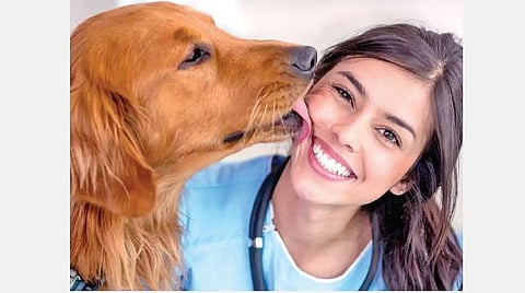 சுலபத்தவணையில் சிங்காசனம்-13: நாய் பாசம், நல்ல வேலை தரும்!