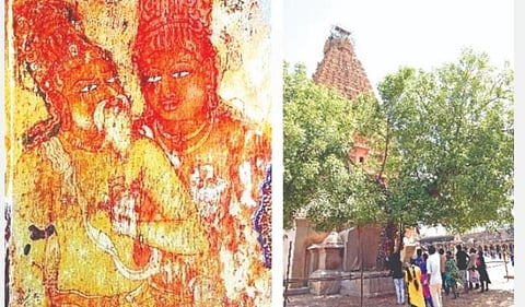 தஞ்சாவூர் பெரிய கோயிலில் உள்ள கருவூர்த் தேவர் மற்றும் இராஜராஜன் ஓவியம் - கருவூர்த் தேவர் சன்னதிக்கு அருகே உள்ள வேப்பமரத்தில் மரப்பல்லியை பார்க்கும் பொதுமக்கள்.