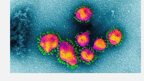 இறை வணக்க கூட்டத்தின் போது கரோனா வைரஸ் குறித்து மாணவர்களுக்கு விழிப்புணர்வு: புதுக்கோட்டை ஆட்சியர் அறிவுறுத்தல்