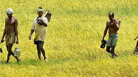 பாதுகாக்கப்பட்ட வேளாண் மண்டலம்: மகிழ்ச்சிக்குரிய அறிவிப்பு