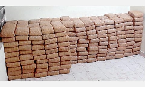 நாகை மாவட்டம் வேதாரண்யத்திலிருந்து இலங்கைக்கு கடத்துவதற்காக நேற்று முன்தினம் இரவு கன்டெய்னர் லாரியில் கொண்டுவரப்பட்ட 310 கஞ்சா பாக்கெட்டுகள்.