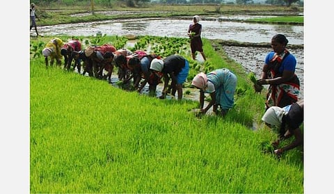 சூரிய சக்தி பம்புசெட்டுகளுக்கு 70% மானியம்; உழவர்- அலுவலர் தொடர்புத் திட்டம்: வேளாண் துறைக்கு 11,894.48 கோடி ரூபாய் ஒதுக்கீடு
