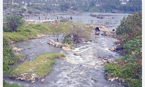 புற்றுநோயாளிகளின் நகரமாக மாறுகிறதா ஈரோடு? - முழுமையான ஆய்வு நடத்த அரசுக்கு கோரிக்கை