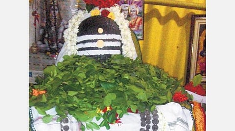 மகா சிவராத்திரி; விரதம் தரும் பலன்கள்!