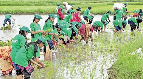 சுலபத்தவணையில் சிங்காசனம் - 16: படித்து விவசாயி ஆகலாம்