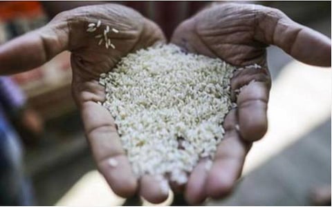 தமிழகத்தில் இந்த ஆண்டில் 72 லட்சம் மெட்ரிக் டன் அரிசி உற்பத்தி: கடந்த ஆண்டைவிட 10.68 லட்சம் மெட்ரிக் டன் அதிகம்