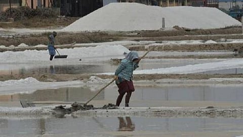 அயோடின் உப்பு விற்பனை சட்டத் திருத்தத்தை ரத்து செய்யக் கோரி வழக்கு: மத்திய அரசுக்கு உயர் நீதிமன்றம் நோட்டீஸ்