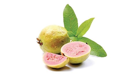 பழமும் நலமும்: அரிய நன்மைகள் தரும் எளிய பழம்