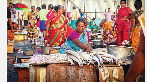 பேசும் படம்: மீனு... மீனு... மீனோய்