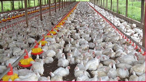 பிரதிநிதித்துவப்படம்