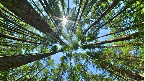 இந்த பூமி நமக்கானது மட்டுமல்ல!