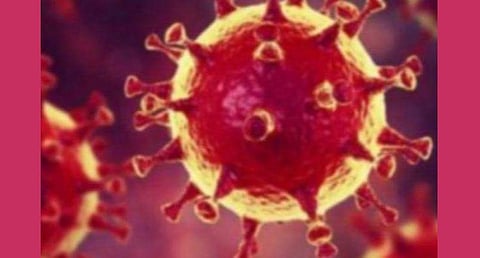 பிரதிநிதித்துவப் படம்