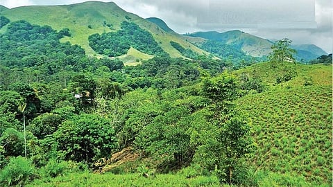 நீலகிரியின் உணர்வுக் குரல்!