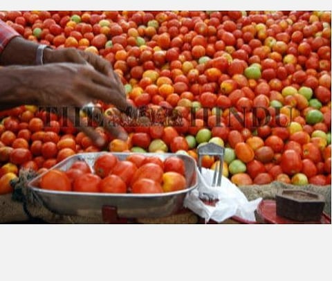 கிலோ ரூ.2 ஆகச் சரிந்த தக்காளி விலை: ஏரியில் கொட்டிய விவசாயிகள்