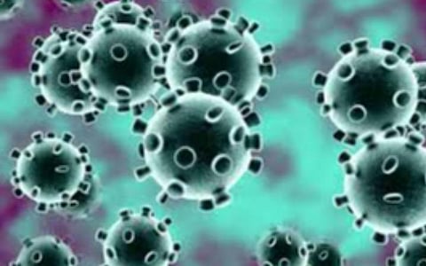 கரோனா முன்னெச்சரிக்கை நடவடிக்கை: தூத்துக்குடியில் 50 பேர் கண்காணிப்பு- மாவட்ட ஆட்சியர் தகவல்