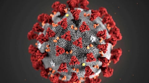 கரோனா காதல்: திரைப்பட டைட்டிலைப் பதிவு செய்த பாலிவுட் இயக்குநர்