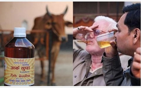 கரோனாவால் பசு கோமியம், சாணம் ரூ.500-க்கு விற்பனை