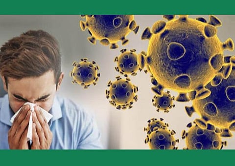 பிரதிநிதித்துவப் படம்.