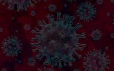 பிரதிநிதித்துவப் படம்.