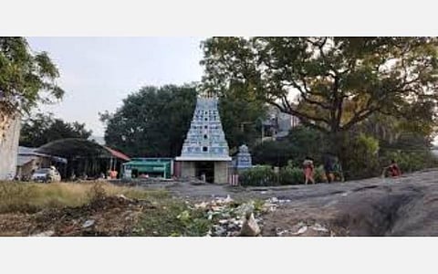 மூலிகைக் காட்டில்... நோய் தீர்க்கும் சுருளி வேலப்பர்!