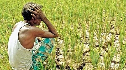 விளைபொருட்களை விற்க முடியவில்லை: கடன் தள்ளுபடி கோரும் விவசாயிகள்