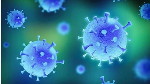 மதுரையில் மேலும் 2 பேருக்கு கரோனா: இருவரும் ஏற்கெனவே கரோனாவால் உயிரிழந்தவரின் குடும்ப உறுப்பினர்கள்