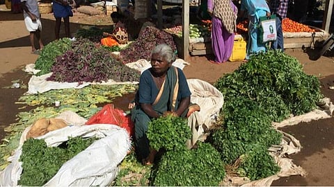 ஆள் கிடைக்காதது, போக்குவரத்து இல்லாததால் கிராமங்களிலேயே முடங்கிய காய்கறிகள்: சிவகங்கையில் சின்னவெங்காயம் கிலோ ரூ.140-க்கு விற்பனை