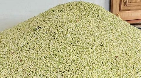 கரோனாவால் வாசமிழந்த மதுரை மல்லிகை: மூடிய ‘சென்ட்’ தொழிற்சாலைகளை திறக்க தமிழக அரசு சிறப்பு அனுமதி