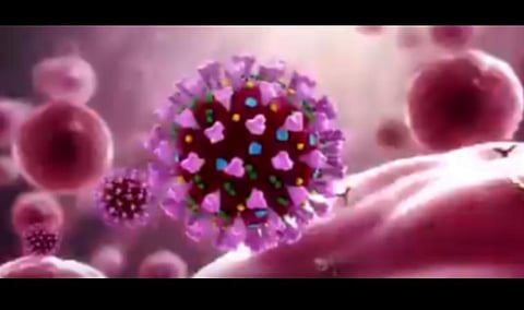 கரோனா வைரஸ் பற்றி நமக்கு என்ன தெரியும்; நாம் என்ன தெரிந்து கொள்ள வேண்டும்?- மூத்த விஞ்ஞானியின் பயன் தரும் தகவல்