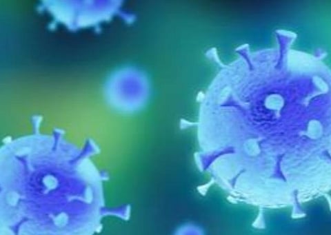 பிரதிநிதித்துவப் படம்