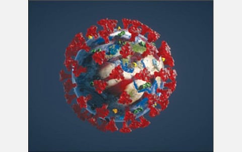 கரோனா வைரஸ் தொற்றில் இருந்து இயற்கை முறையில் தற்காத்து கொள்வது எப்படி?- தேசிய சித்த நிறுவன இயக்குநர் அறிவுறுத்தல்