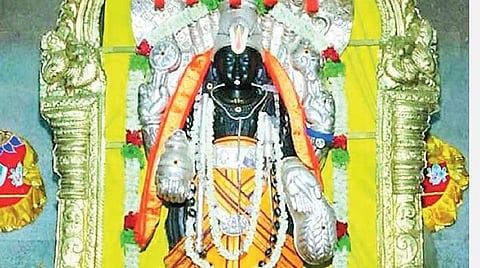 ஆயில்ய நட்சத்திரக்காரர்களுக்கு இப்படியெல்லாம் குணங்களா? ; ஆயில்யக்காரர்களின் தெய்வங்கள், விருட்சங்கள்! - 27 நட்சத்திரங்கள் - ஏ டூ இஸட் தகவல்கள் 27;