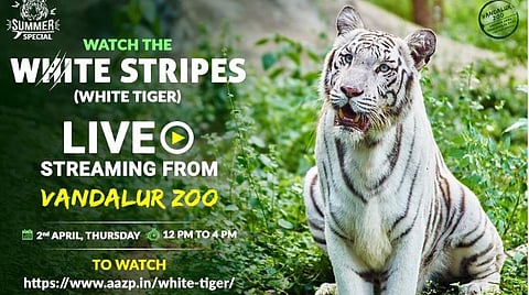 ஆன்லைன் காணொலி மூலம் வண்டலூர் விலங்கியல் பூங்காவைக் காணலாம்: தினமும் 12 மணியிலிருந்து 4 மணி வரை ஒளிபரப்பு