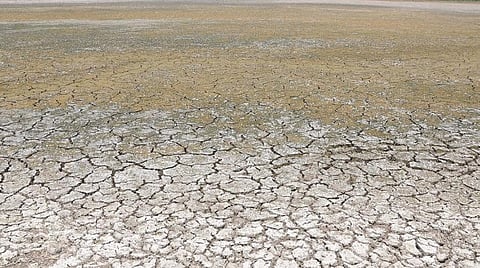 கிருஷ்ணகிரி அருகே தென்பெண்ணை ஆற்றில் நீர் வரத்து முற்றிலும் நின்றதால், நெற்பயிர்கள் காய்ந்து வருகிறது.