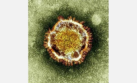 பூட்டிக்கிடந்த ஐசியூ; மருத்துவ ஊழியர்கள் யாரும் இல்லை: நோயாளி பரிதாப மரணம்: ம.பி.யில் அதிர்ச்சி
