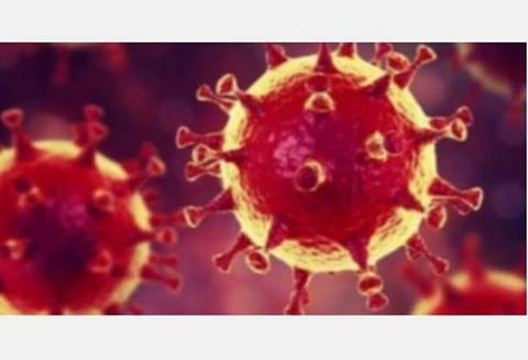 உலகம் முழுவதும் கரோனா வைரஸுக்கு 82,145 பேர் பலி