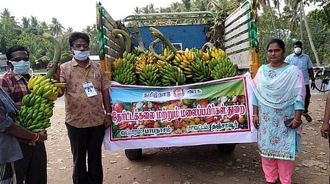 வாகனங்கள் மூலம் வாழைத்தார்கள் விற்பனை.