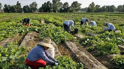 காய்கறிகள் விற்பனையில் ஏதாவது பிரச்சினையா?-விவசாயிகள் தொடர்பு கொள்ள தொலைபேசி எண்கள் அறிவிப்பு