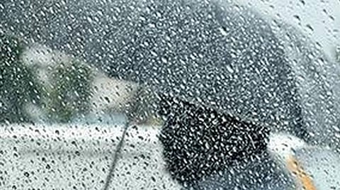 பலத்த சூறைக்காற்றுடன் பெய்த மழை- மின்சாரம் பாய்ந்து விவசாயி உயிரிழப்பு; ஜல்லிக்கட்டு காளையும் இறந்தது