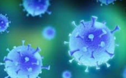 பிரதிநிதித்துவப் படம்