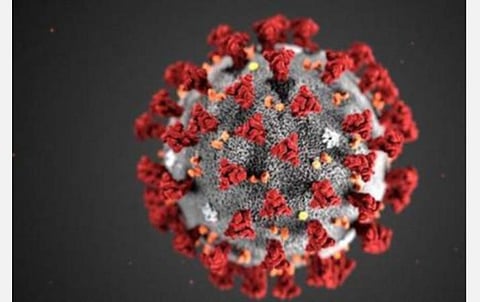 தூத்துக்குடியில் கரோனாவுக்கு பலியான மூதாட்டி உடல் உறவினர்கள் இன்றி அடக்கம்