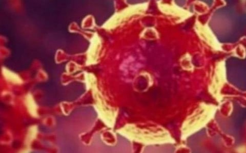 கரோனா வைரஸ் தொற்றுக்கு மற்ற மாநிலங்களைப் போல் தமிழகத்தில் ஹோமியோபதி மருத்துவத்தை தொடங்க வலியுறுத்தல்