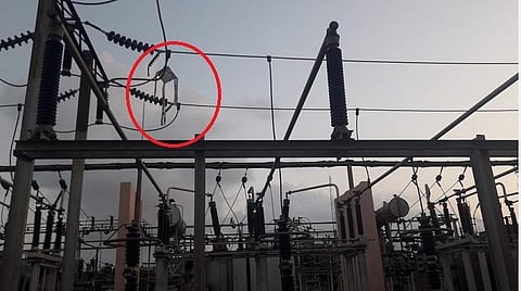 படவிளக்கம்: மதுரை துணைமின் நிலையத்தில் உள்ள மின்கம்பிகளில் சிக்கியுள்ள பட்டம்