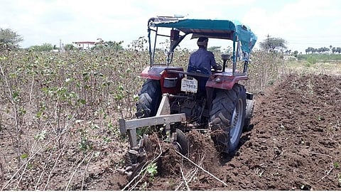 கோவில்பட்டி அருகே கடலையூர் பகுதியில் உள்ள மானாவாரி நிலத்தில் டிராக்டர் மூலம் பருத்தி செடிகள் அழிக்கப்பட்டன.