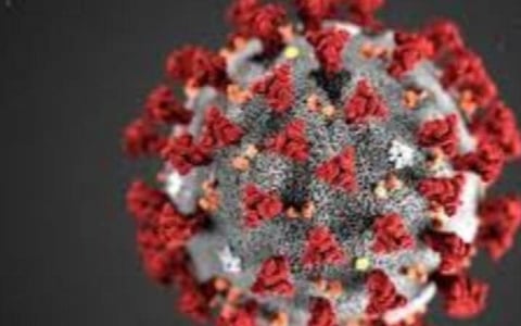 பிரதிநிதித்துவப் படம்