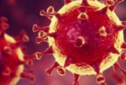 யுகேவில் கரோனா தொற்றுக்கு பலி எண்ணிக்கை 12,868 ஆக அதிகரிப்பு