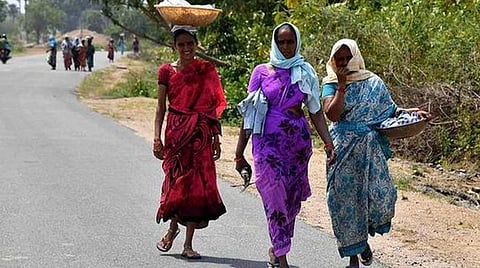 100 நாள் வேலைத் திட்ட பணியாளர்களுக்கு ஏப்.1 முதல் தினசரி ஊதியம் ரூ.256 ஆக உயர்வு: தமிழக அரசு அறிவிப்பு