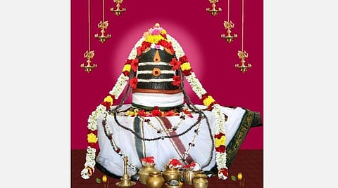 சார்வரி ஆண்டின் முதல் பிரதோஷம்; ஐந்து பேருக்கு தயிர்சாதம்; பசுவுக்கு அகத்திக்கீரை கொடுங்கள்!